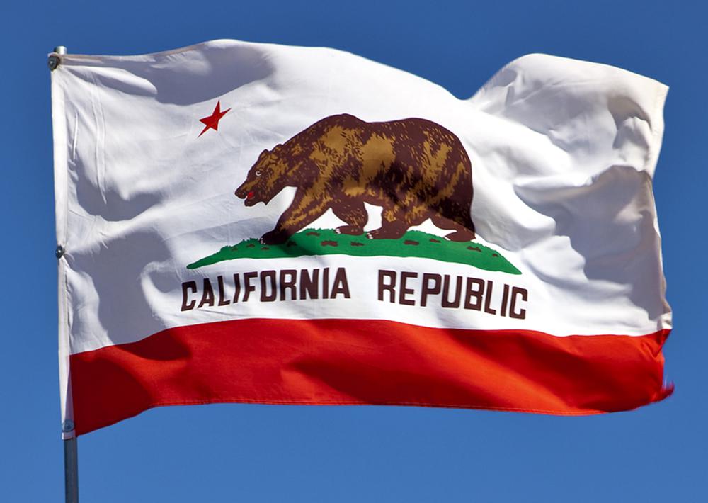 California FLAG ビンテージ コットン カリフォルニア フラッグ abitur